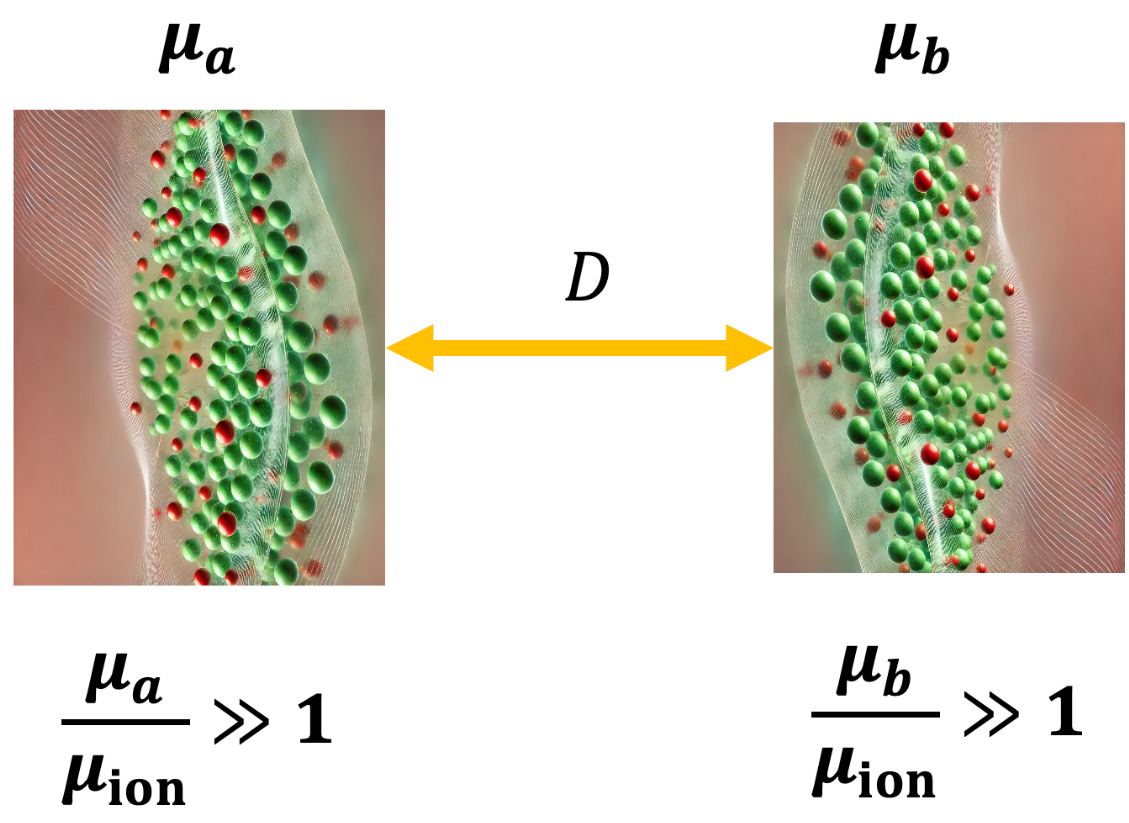 Magnetic interactions TOC figure