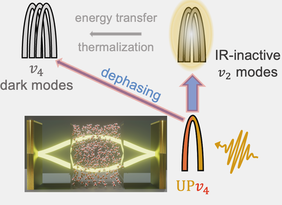 Selective excitation TOC figure