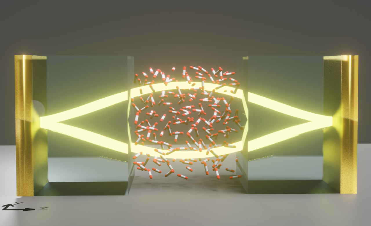 Computational polaritonics